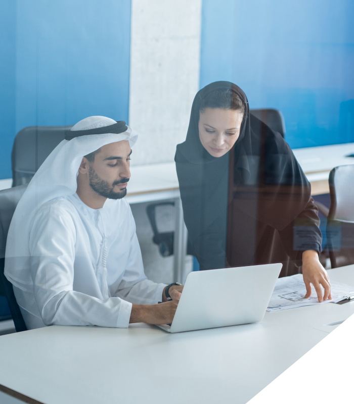 Leading Invest Bank UAE – SDN and Microsegmentation