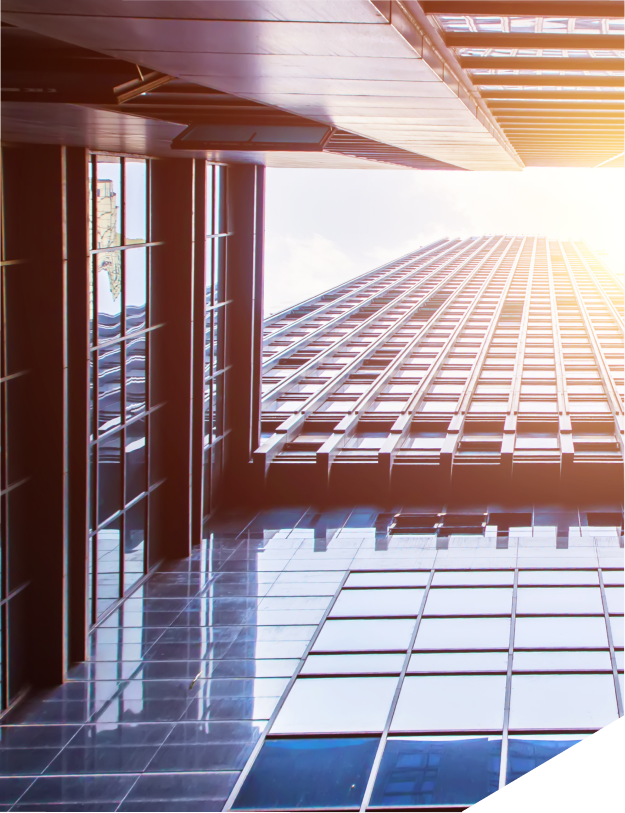 Digital Platform Provider Portugal – Vmware Tanzu