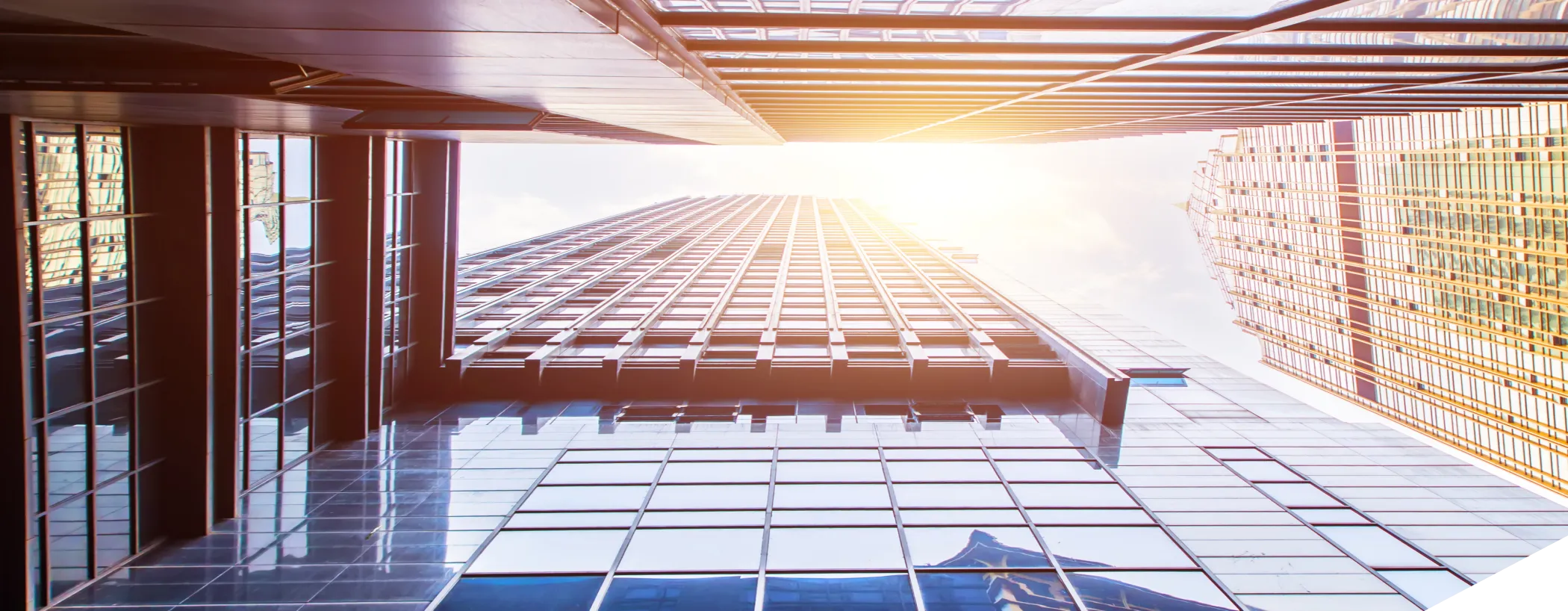 Digital Platform Provider Portugal – Vmware Tanzu